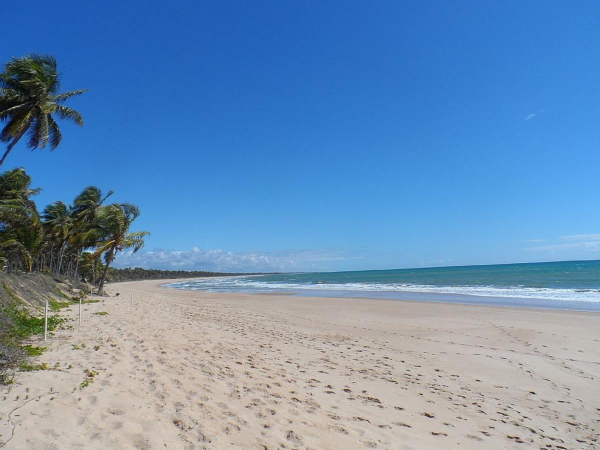 Apartamento Iberostate Mediterraneo Praia do Forte Dış mekan fotoğraf